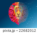 Lion head in geometric pattern with star line  22682012