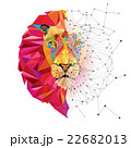 Lion head in geometric pattern with star line 22682013