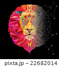 Lion head in geometric pattern with star line 22682014