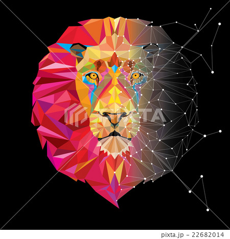 Lion head in geometric pattern with star line 22682014