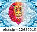 Lion head in geometric pattern with star line 22682015