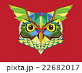 Owl head in geometric pattern 22682017