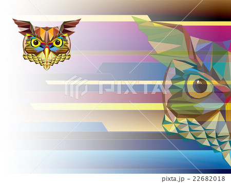 Low polygon Owl head in geometric pattern 22682018