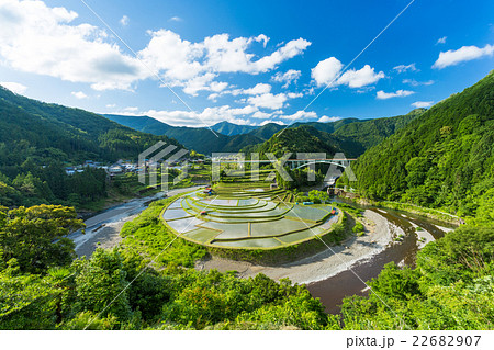 あらぎ島 あらぎ島 22682907