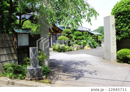 世田谷　専光寺 22683711