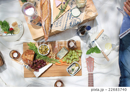 ピクニック 22683740