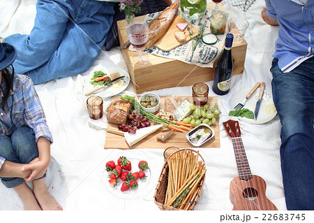 ピクニック ピクニック 22683745