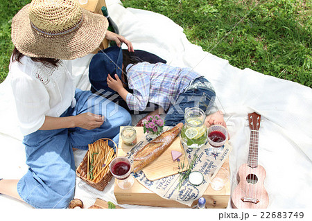 ピクニック 22683749