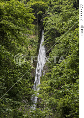 青葉の洒水の滝 22685477