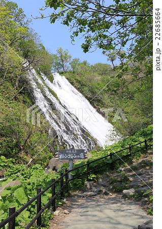 知床八景・オシンコシンの滝 知床八景・オシンコシンの滝 22685664