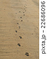 砂浜足跡 22686096