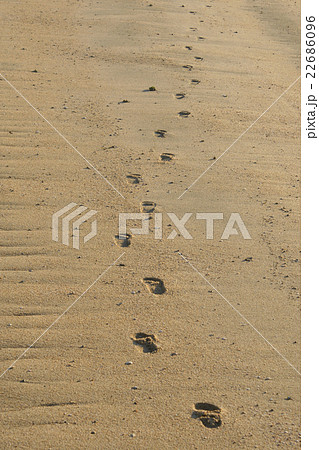 砂浜足跡 22686096