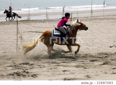 騎手女（キシュジョ）の疾走 22687083