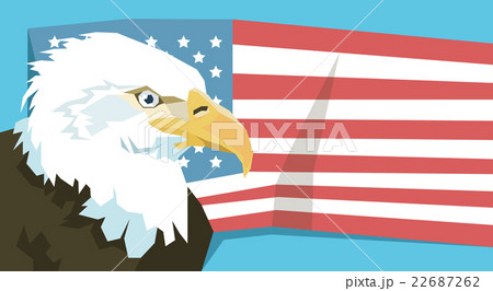 Eagle Over United States Of America Flag 22687262