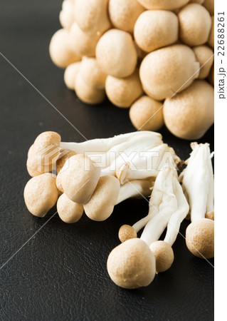shimeji mushrooms brown varieties 22688261