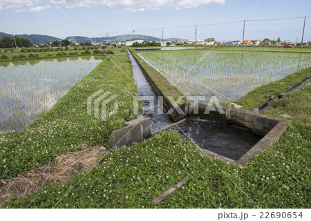 農業用水路 農業用水路 22690654
