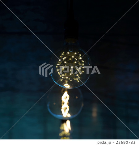 decorative antique tungsten light bulbs 22690733