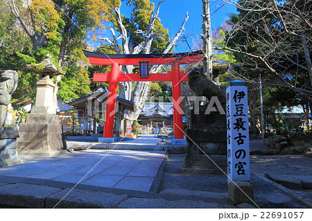 伊豆白浜神社 22691057