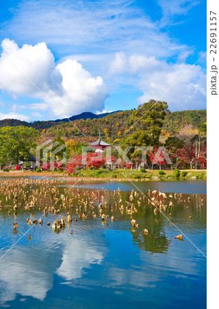 大覚寺の紅葉と大沢池 22691157