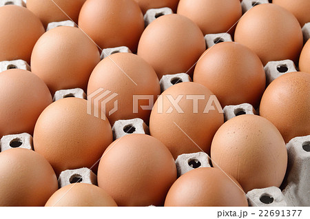 chicken egg in panel eggs chicken egg in panel eggs 22691377