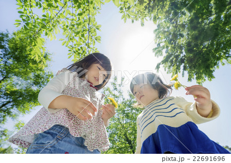 新緑の公園で遊ぶ姉妹 新緑の公園で遊ぶ姉妹 22691696