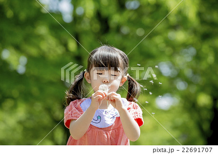 新緑の公園でタンポポで遊ぶ女の子 22691707