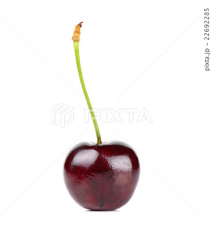 Cherry isolated on the white background 22692285