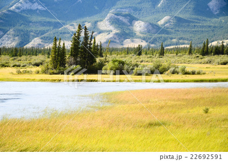 カナディアンロッキー・ジャスパーの秋景色 22692591