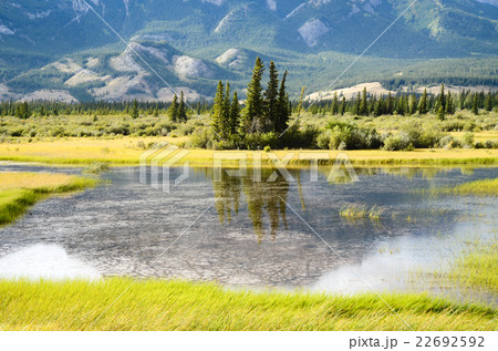 カナディアンロッキー・ジャスパーの秋景色 22692592