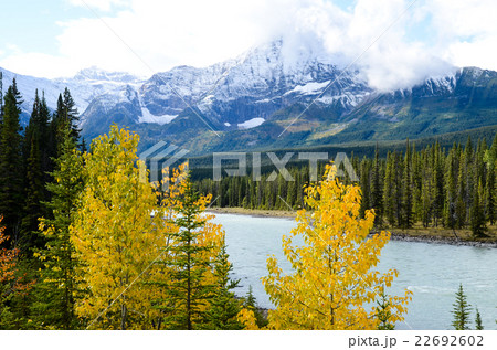 カナディアンロッキー アイス・フィールド・パークウェイの秋景色 カナディアンロッキー アイス・フィールド・パークウェイの秋景色 22692602