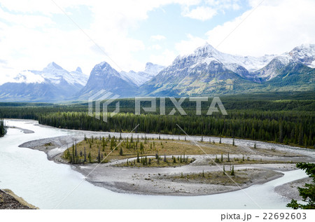 カナディアンロッキー アイス・フィールド・パークウェイの秋景色 カナディアンロッキー アイス・フィールド・パークウェイの秋景色 22692603