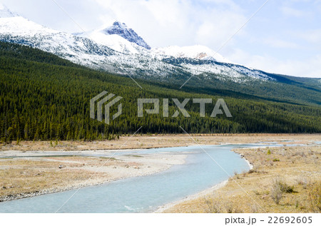 カナディアンロッキー アイス・フィールド・パークウェイの秋景色 カナディアンロッキー アイス・フィールド・パークウェイの秋景色 22692605