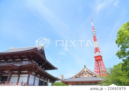 東京タワーと増上寺 東京タワーと増上寺 22692979