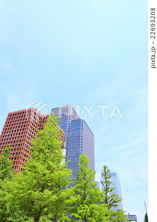 オフィスビル群と青空【東京丸の内】 オフィスビル群と青空【東京丸の内】 22693208