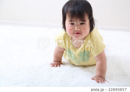 ハイハイする8か月の赤ちゃん 22693657