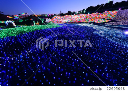 伊豆ぐらんぱる公園　イルミネーション 22695048