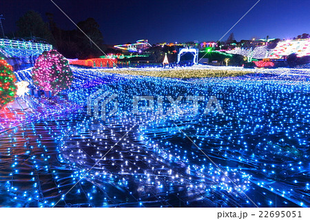 伊豆ぐらんぱる公園 イルミネーション 伊豆ぐらんぱる公園 イルミネーション 22695051