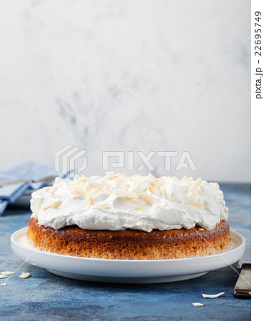 Three milk cake with coconut Latin America dessert 22695749
