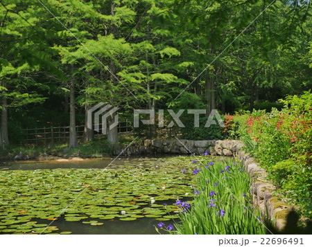 六甲・北山公園 六甲・北山公園 22696491