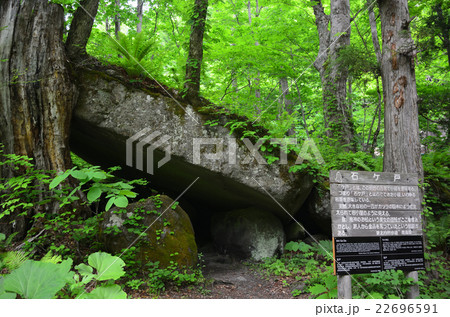 奥入瀬渓流 石ケ戸 奥入瀬渓流 石ケ戸 22696591