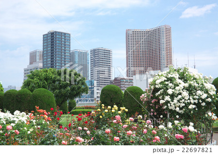 新駅付近の風景 22697821