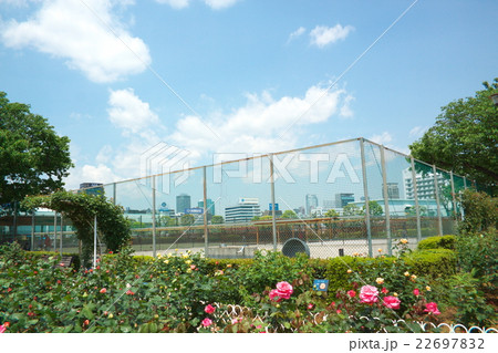 新駅付近の風景 22697832