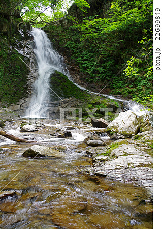 雌滝　初夏　広島県庄原市高野町 22699849