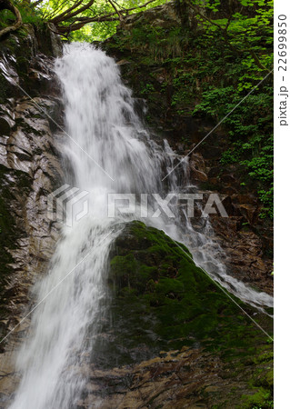 雌滝　初夏　広島県庄原市高野町 22699850