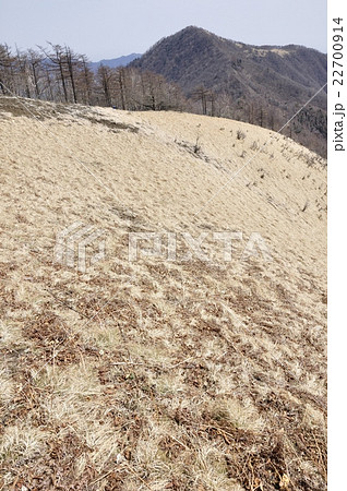 早春の日陰名栗峰より鷹ノ巣山 早春の日陰名栗峰より鷹ノ巣山 22700914