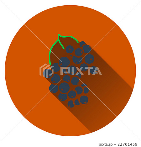 Black currant icon 22701459