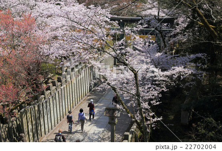 金刀比羅宮桜馬場西詰から東側、下り大門方向を見る 金刀比羅宮桜馬場西詰から東側、下り大門方向を見る 22702004