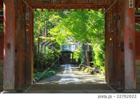 山門越しの参道 22702022