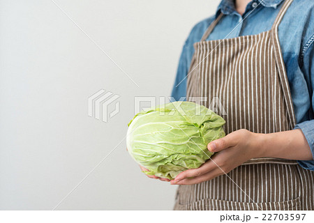 キャベツ 22703597