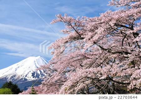 富士山と桜 22703644